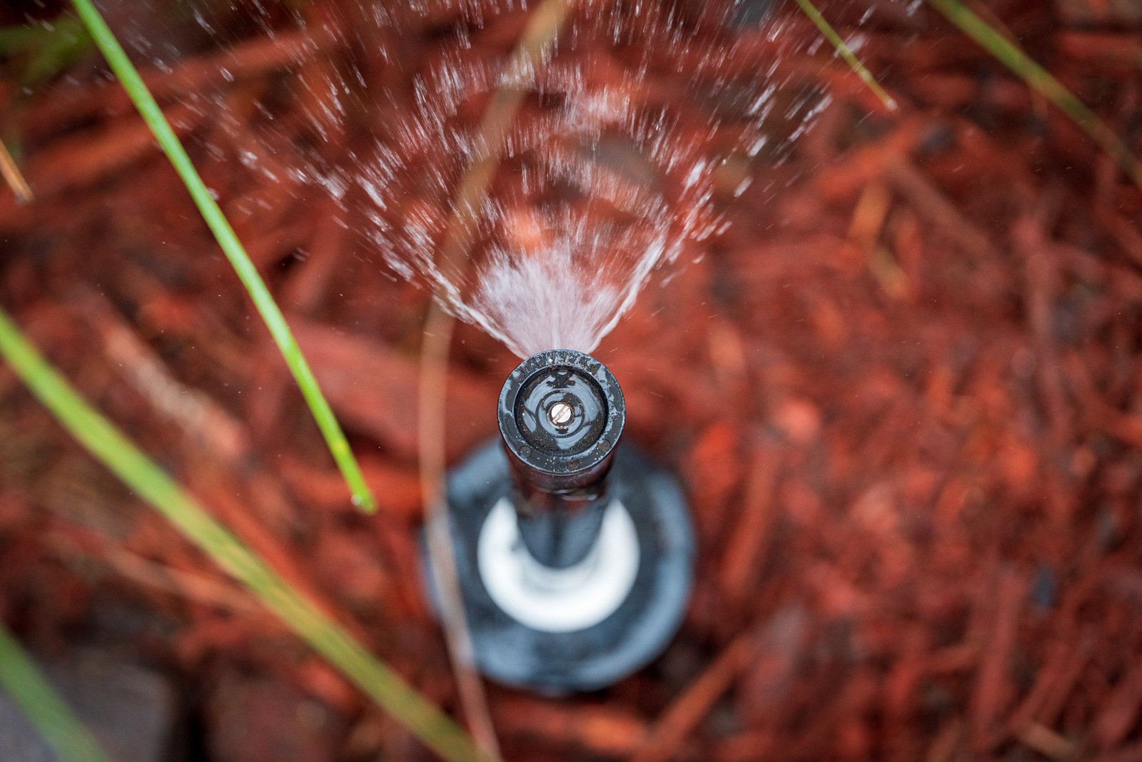 The Ultimate Guide to Irrigation for Florida Homeowners